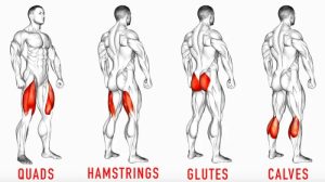 Bodyweight muscle maintaining hiit