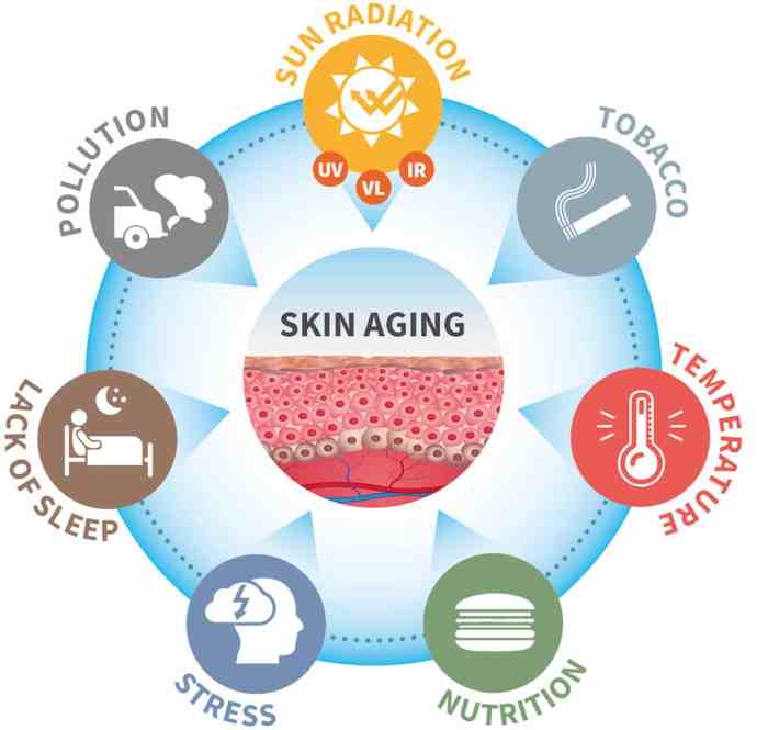Skin radicals aging damage exposome do induced they al asia data dermatological journal science et related article Skin radicals aging damage exposome do induced they al asia data dermatological journal science et related article